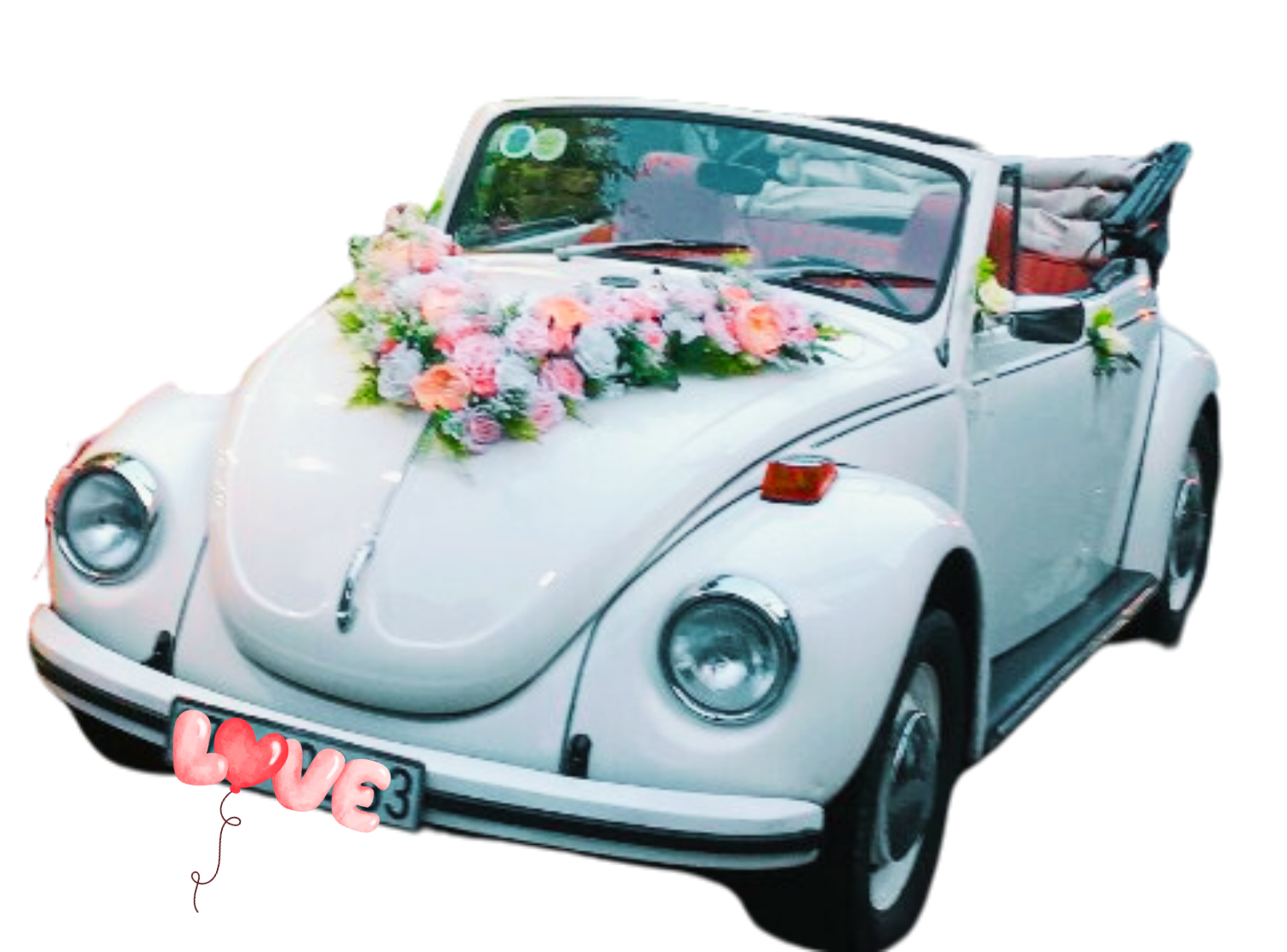 Xe Cưới Con Bọ Cổ Volkswagen Beetle Mui Trần Trắng 1 Xe Cưới Con Bọ Cổ Volkswagen Beetle Mui Trần Trắng
